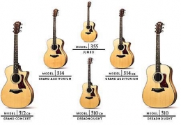 De meest voorkomende steelstring gitaar modellen